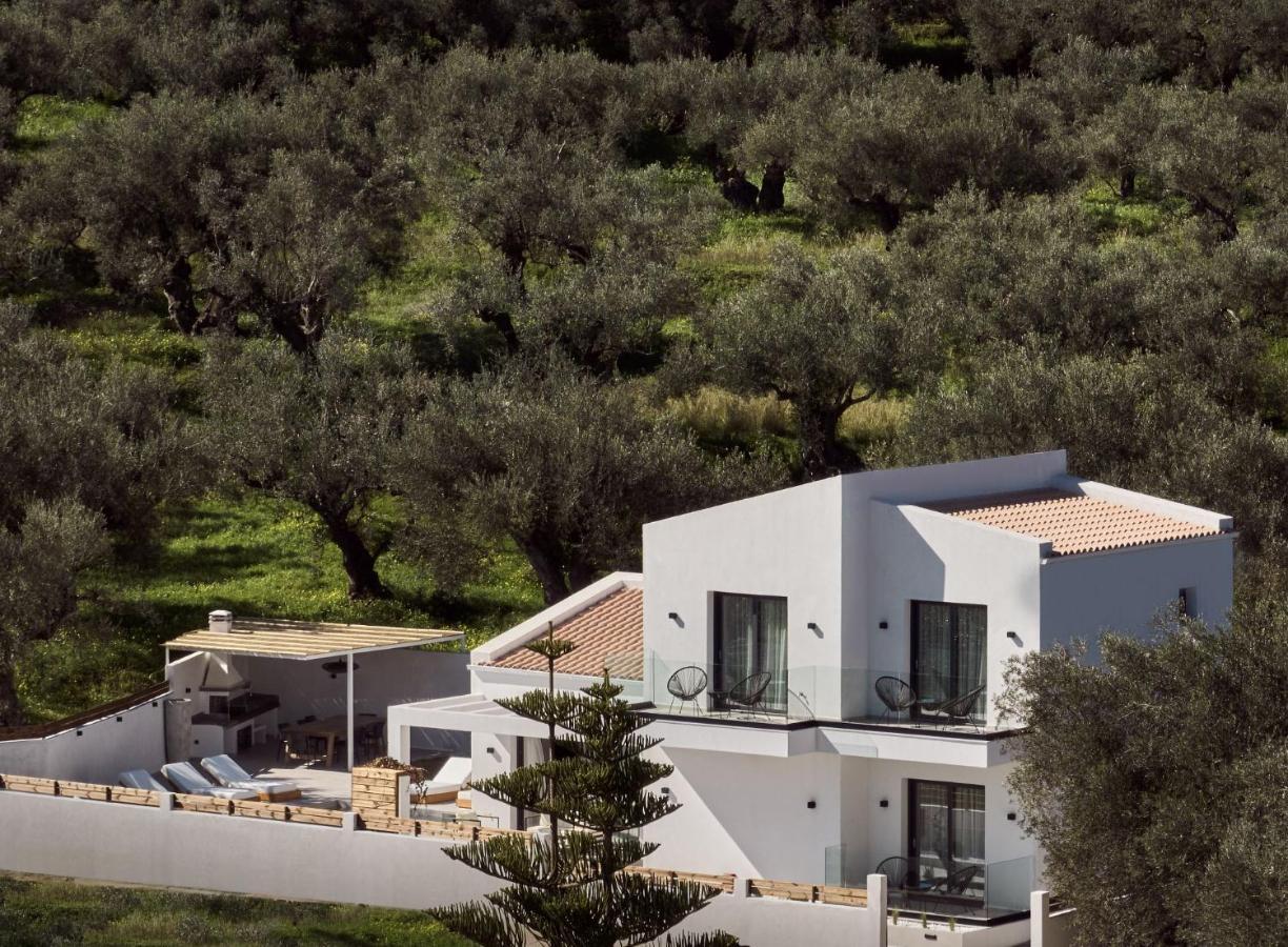 Estelle Villa, A Flamboyant Escape With Pool, By Thinkvilla Romíri Kültér fotó